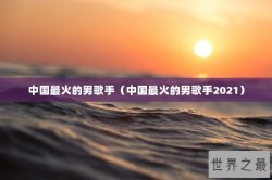 中国最火的男歌手（中国最火的男歌手2021）