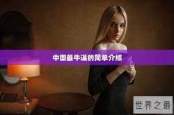 中国最牛逼的简单介绍