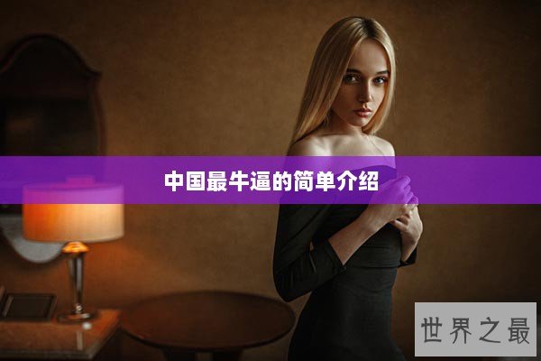 中国最牛逼的简单介绍