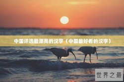 中国评选最漂亮的汉字（中国最好看的汉字）
