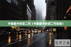 中国最牛的富二代（中国最牛的富二代是谁）