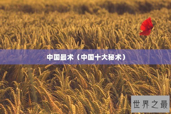 中国最术(中国十大秘术) 中国最术(中国十大秘术)
