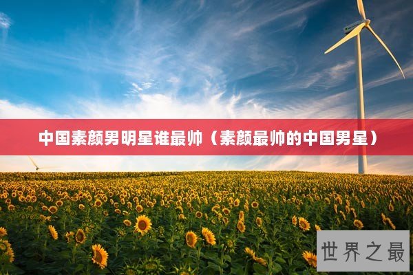 中国素颜男明星谁最帅（素颜最帅的中国男星）