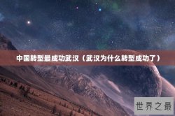 中国转型最成功武汉（武汉为什么转型成功了）