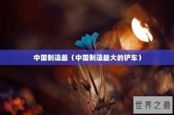 中国制造最（中国制造最大的铲车）