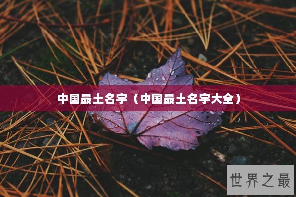 中国最土名字（中国最土名字大全）