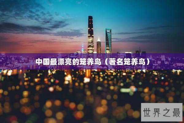 中国最漂亮的笼养鸟（著名笼养鸟）