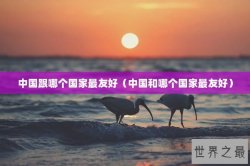 中国跟哪个国家最友好（中国和哪个国家最友好）