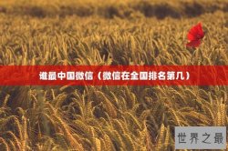 谁最中国微信（微信在全国排名第几）