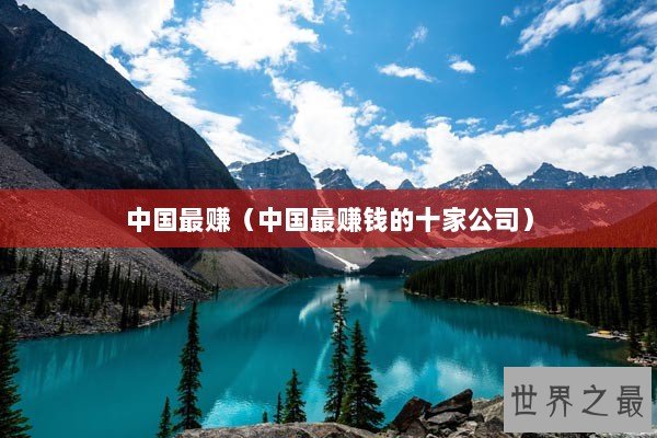 中国最赚(中国最赚钱的十家公司) 中国最赚(中国最赚钱的十家公司)