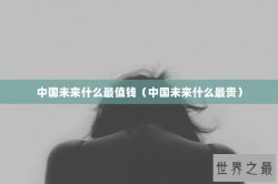 中国未来什么最值钱（中国未来什么最贵）