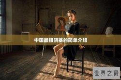 中国最粗阴茎的简单介绍