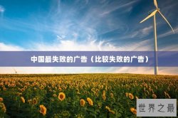 中国最失败的广告（比较失败的广告）