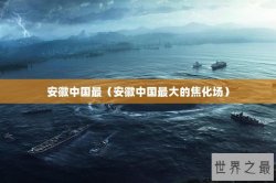 安徽中国最（安徽中国最大的焦化场）