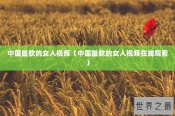 中国最软的女人视频（中国最软的女人视频在线观看）