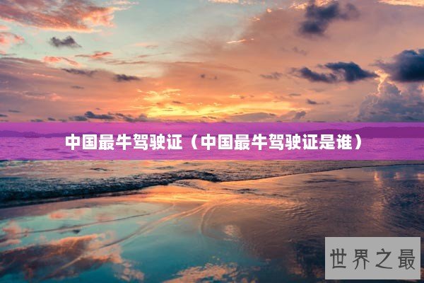 中国最牛驾驶证（中国最牛驾驶证是谁）