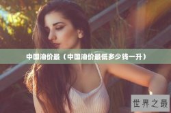 中国油价最（中国油价最低多少钱一升）