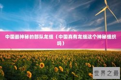 中国最神秘的部队龙组（中国真有龙组这个神秘组织吗）