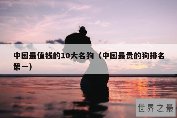中国最值钱的10大名狗(中国最贵的狗排名第一)