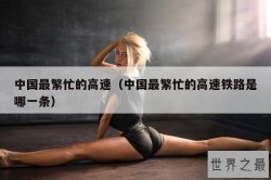 中国最繁忙的高速（中国最繁忙的高速铁路是哪一条）