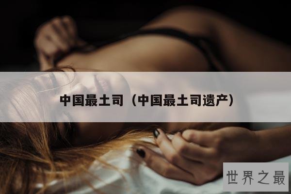 中国最土司(中国最土司遗产)
