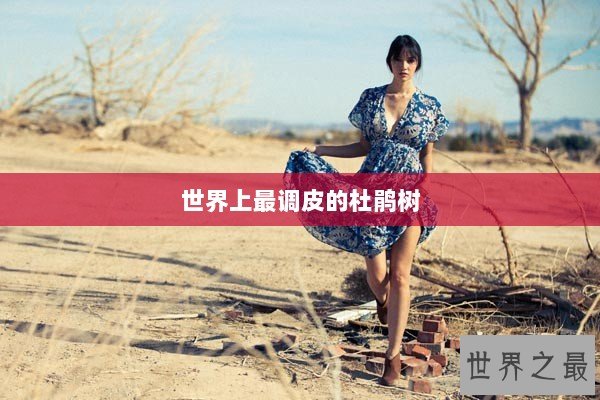 世界上最调皮的杜鹃树