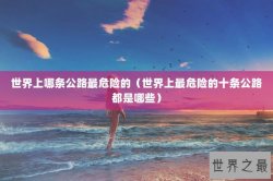 世界上哪条公路最危险的（世界上最危险的十条公路都是哪些）