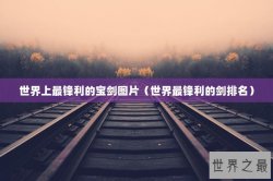 世界上最锋利的宝剑图片（世界最锋利的剑排名）