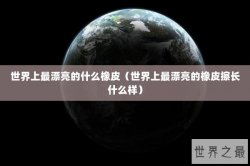 世界上最漂亮的什么橡皮（世界上最漂亮的橡皮擦长什么样）
