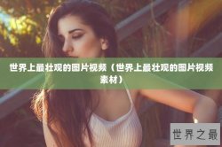 世界上最壮观的图片视频（世界上最壮观的图片视频素材）