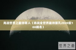 肖战世界上最帅男人（肖战全世界最帅面孔2020前100提名）
