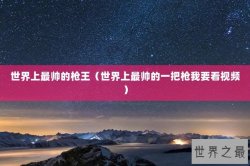 世界上最帅的枪王（世界上最帅的一把枪我要看视频）