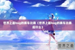 世界上最bug的赛车比赛（世界上最bug的赛车比赛是什么）