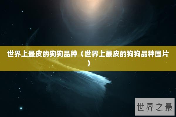 世界上最皮的狗狗品种（世界上最皮的狗狗品种图片）