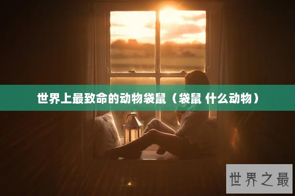 世界上最致命的动物袋鼠（袋鼠 什么动物）