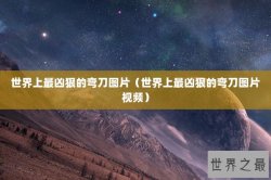 世界上最凶狠的弯刀图片（世界上最凶狠的弯刀图片视频）