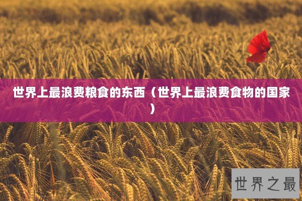 世界上最浪费粮食的东西（世界上最浪费食物的国家）