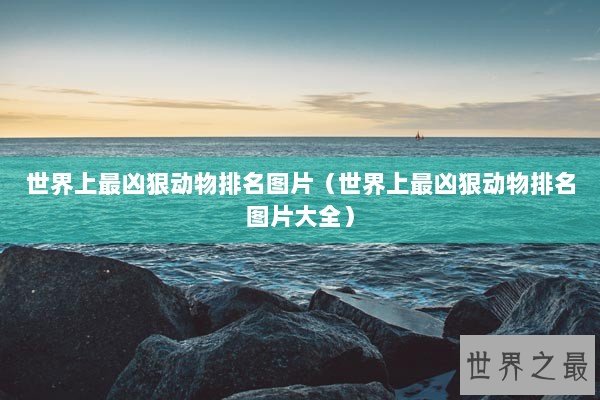 世界上最凶狠动物排名图片（世界上最凶狠动物排名图片大全）