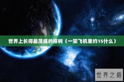 世界上长得最茂盛的榕树（一架飞机重约15什么）