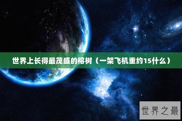 世界上长得最茂盛的榕树（一架飞机重约15什么）