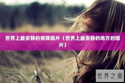 世界上最安静的夜晚图片（世界上最安静的地方的图片）