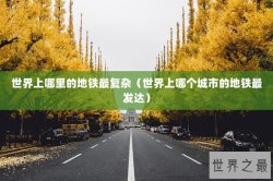 世界上哪里的地铁最复杂（世界上哪个城市的地铁最发达）