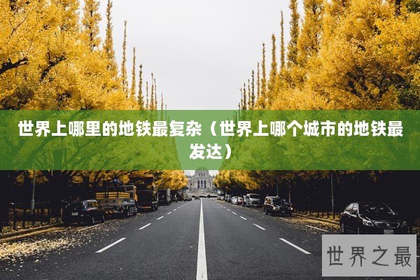 世界上哪里的地铁最复杂（世界上哪个城市的地铁最发达）