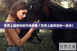 世界上最悲伤的片段合集（世界上最悲伤的一段话）