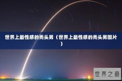 世界上最性感的秃头男（世界上最性感的秃头男图片）