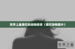 世界上最腐烂的动物排名（腐烂动物图片）