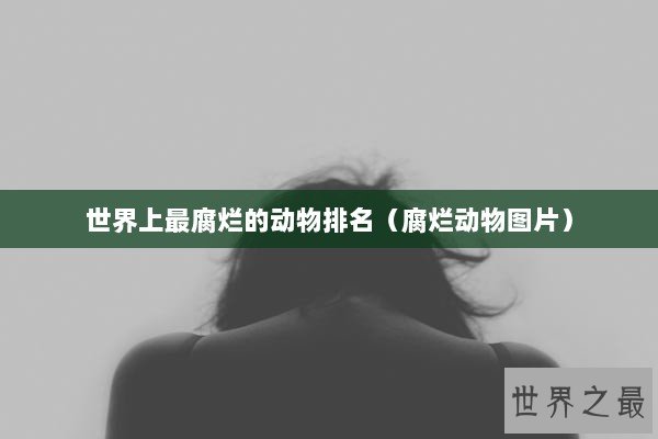 世界上最腐烂的动物排名（腐烂动物图片）