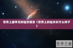 世界上最罕见的仙女组合（世界上的仙女长什么样子）