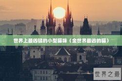 世界上最凶猛的小型猫咪（全世界最凶的猫）