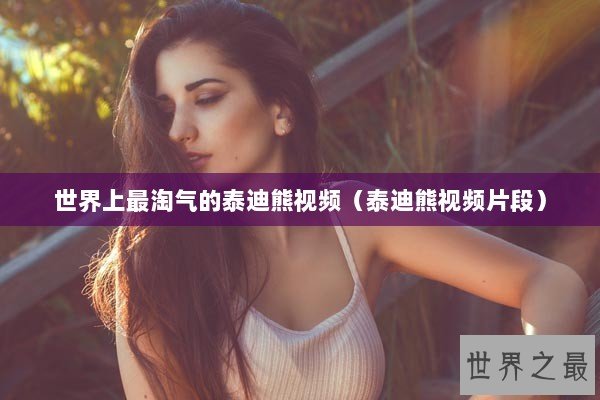 世界上最淘气的泰迪熊视频（泰迪熊视频片段）